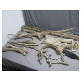 Nice lot of Drift wood great for craft projects
