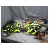 Tree Climbing Safety Gear