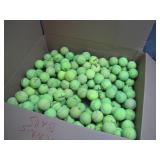 Large Box of Tennis Balls