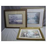 Framed Nature-Themed Art Prints