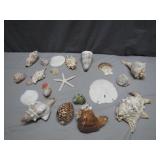 Seashells and Starfish