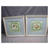 Framed Sea Shell Artworks Duo