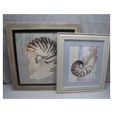 Framed Nautilus Shell Art Set