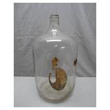 Clear Glass Jug with Embossed Base