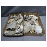 Fossil Lot w/ Whale Vertbrae, Coral & Shells