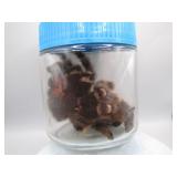Taxidermy Tarantula in Sealed Glass Jar