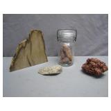 Rocks and Petrified Wood Display