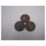 1895, 1897-1898 Indian Head Pennies