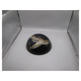 Encased Rattlesnake Head Paperweight