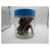 Taxidermy Tarantula in Jar, Stamped 1992