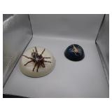 Spider and Scorpion Paperweights