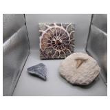 Ocean-Themed Lot: Fossil, Magnet, and Art