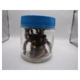 Vintage Taxidermy Tarantula In Jar