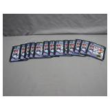 13 Unopened 2008-2009 Panini NHL Hockey Packs