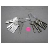 Bundle of Ford Vehicle Keys with Keyring