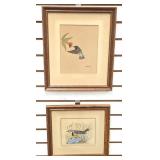 Two Watercolors by Don Whynott