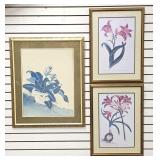 Three Gilt Framed Botanical Prints