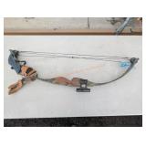 Compound Bow