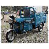 IRET13 3 Wheel Electric Cart