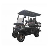 2025 SDlANCH SDLGC80 Electric Golf Cart