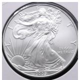 2009 SILVER EAGLE GEM