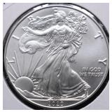 2020 SILVER EAGLE GEM