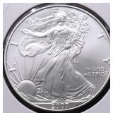2007 SILVER EAGLE GEM
