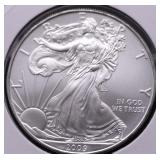 2009 SILVER EAGLE GEM