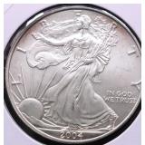 2004 SILVER EAGLE CHOICE BU