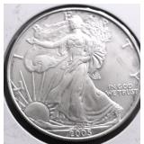 2005 SILVER EAGLE GEM