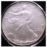 2007 SILVER EAGLE GEM