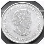 1/2 OZ .999 SILVER ROUND GEM