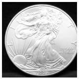 2009 SILVER EAGLE GEM