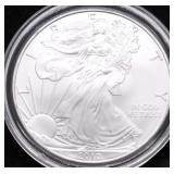 2010 SILVER EAGEL GEM