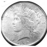1923 PEACE DOLLAR XF