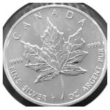 2013   1 OZ  .999 SILVER CANADA MAPLE GEM
