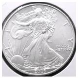 2003 SILVER EAGLE GEM