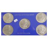 5 MORGAN DOLLARS W CASE PAPERS
