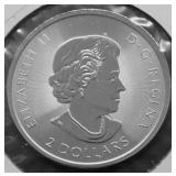 1/2 OZ .9999 SILVER CANADA POLAR BEAR GEM