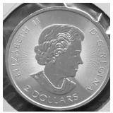 1/2 OZ .9999 SILVER CANADA POLAR BEAR GEM