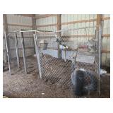 Metal Animal Cages & Accessories