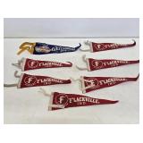 7 Souvenir Felt Mini Pennants