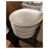 20 10' Dinner Plates