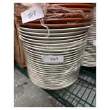 25 10' Dinner Plates