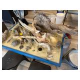 Decorative Drift Wood
