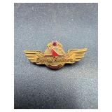 10k gold Vintage Capital Airlines 10 year Pin