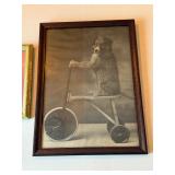 Vintage dog on tricycle Parham studio
