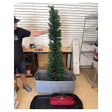 Balsam Hill tree & tote