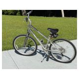 Giant Sedona DX recreational bicycle