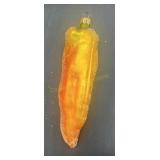 Christopher Radko Yellow Orange Pepper Ornament